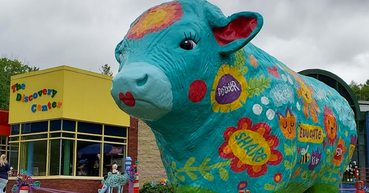 The Discovery Center of the Southern Tier