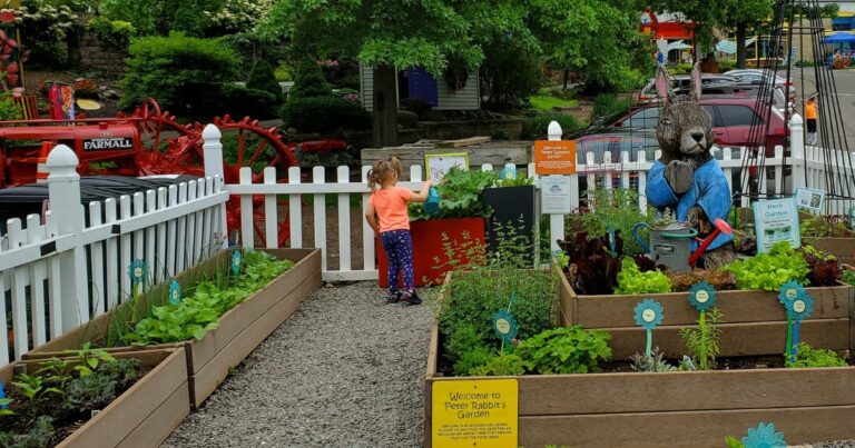 peter rabbits garden discovery center