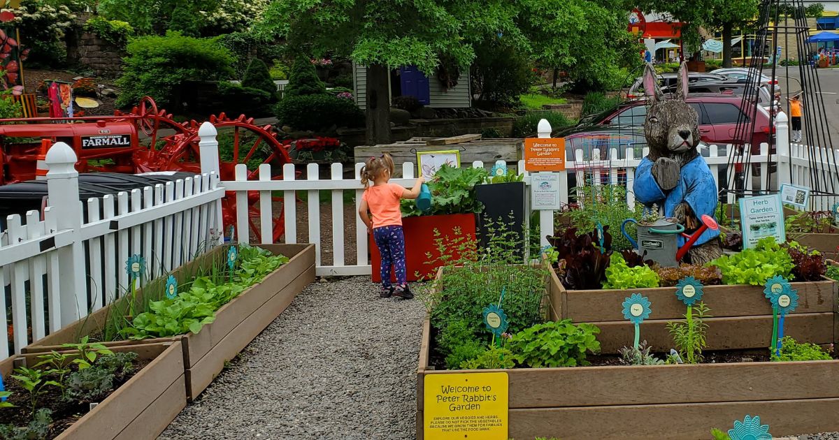 peter rabbits garden discovery center
